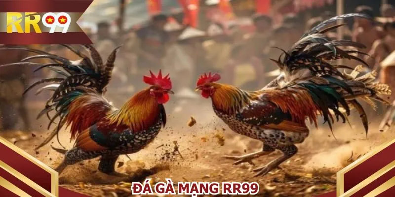 Đá gà mạng RR99